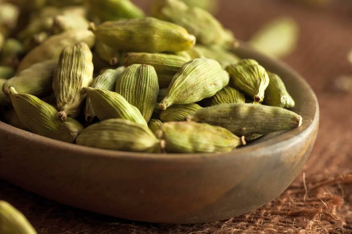 أظهرت بعض الدراسات أن بذور الهيل تساعد على تحسين صحة الفم بسبب خصائصها المضادة للالتهابات والبكتيريا.
وأظهرت النتائج أن مستخلص الهيل كان فعالاً في تعطيل البكتيريا التي يمكن أن تؤدي إلى أمراض اللثة أو التهاباتها.