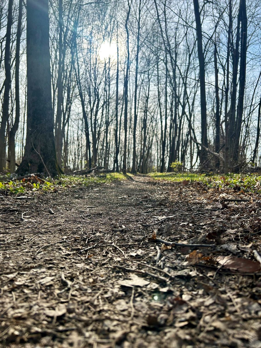 Today’s long run views. 🤩 Best part of #IndyMini training is exploring my new home!