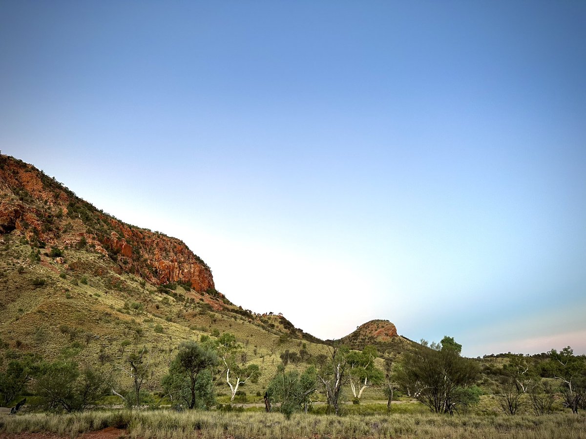 jkpepperill's tweet image. It’s been a nice long weekend. #Mparntwe #Tjoritja