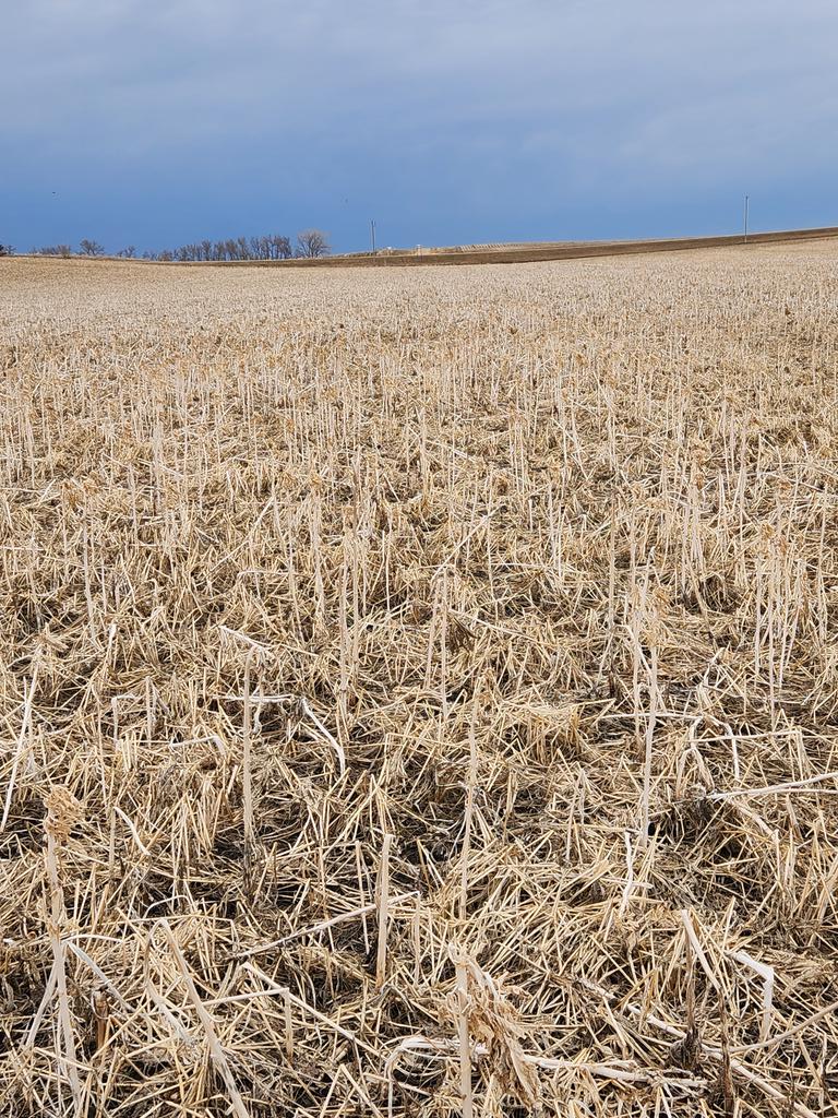 LarryCowing's tweet image. corn seed bed for this spring, how challenging  will this be?