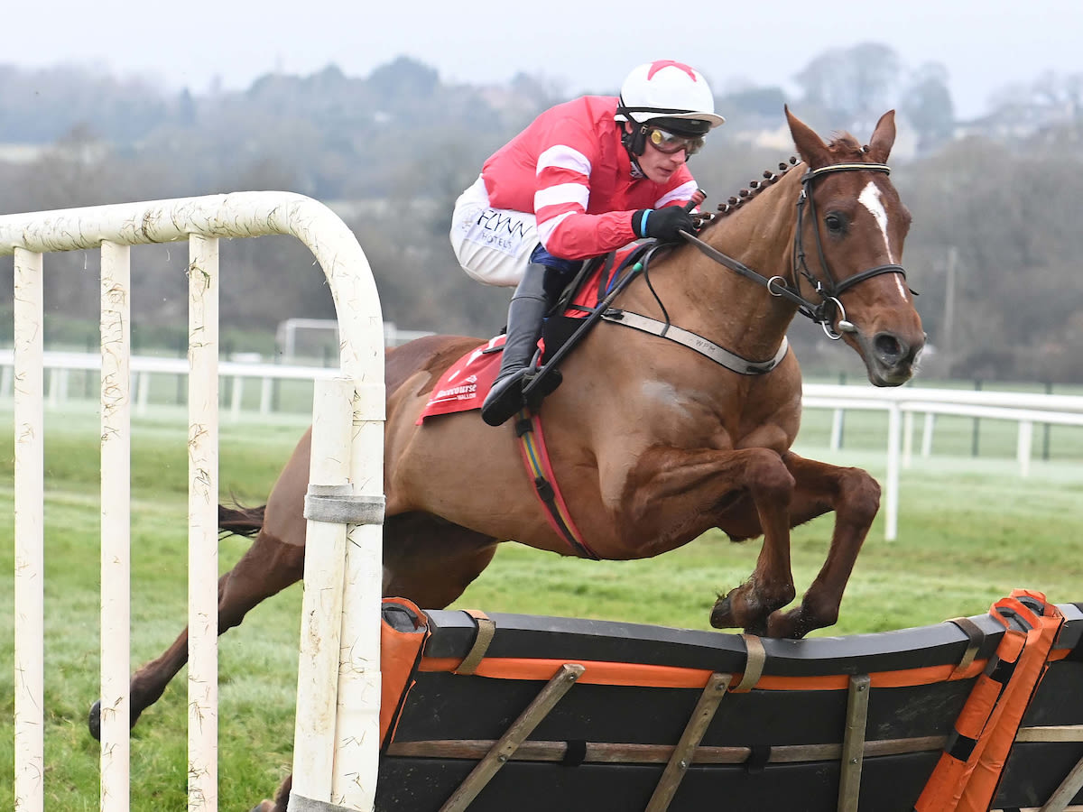 money_rider's tweet photo. #BloodDestiny &amp; #Tekao will be looking to put their Cheltenham disappointments in the Triumph &amp; Boodles respectively behind them

Both run in the 2m Donohue Marquees Juvenile Hurdle @Fairyhouse (2:40) today for team @WillieMullinsNH (@PTownend rides Blood Destiny, Walsh on Tekao) https://t.co/e9MCXZlIcV