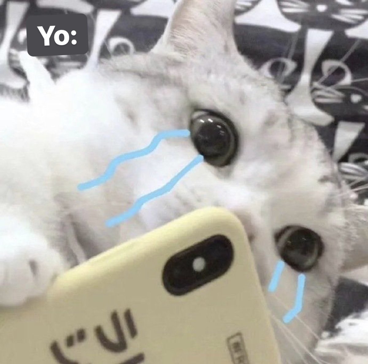 El Guarromántico tweet media