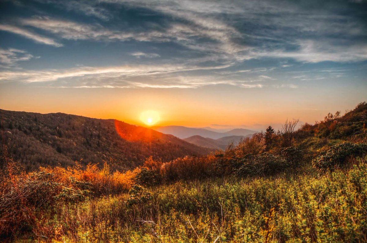 MobileBrochure's tweet photo. Looking for some unique and quirky things to do in Pigeon Forge and Gatlinburg? Check out our latest blog post for a wild dining experience, miniature wrestlers, bizarre exhibits, and more! https://t.co/zPlbMA0EV6 #PigeonForge #Gatlinburg #UniqueThingsToDo https://t.co/MwEqPpUl3f