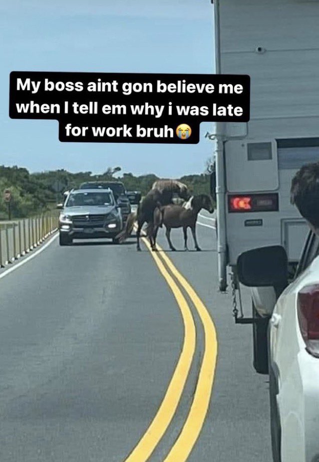 🕐HOURLY🕑 shitpost (@hourly_shitpost) on Twitter photo 