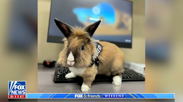 No Context Fox News tweet media
