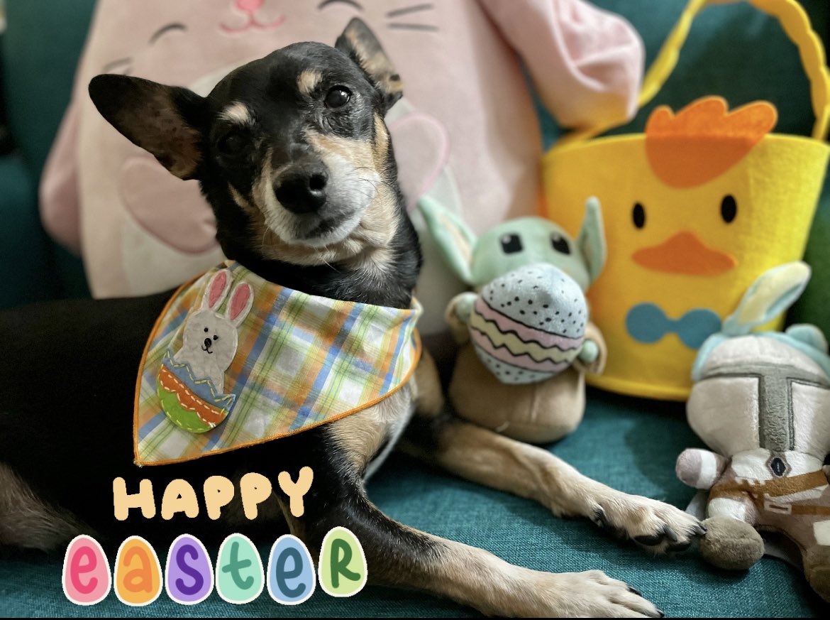 May the force be with you this Easter 🐣🐰#happyeaster