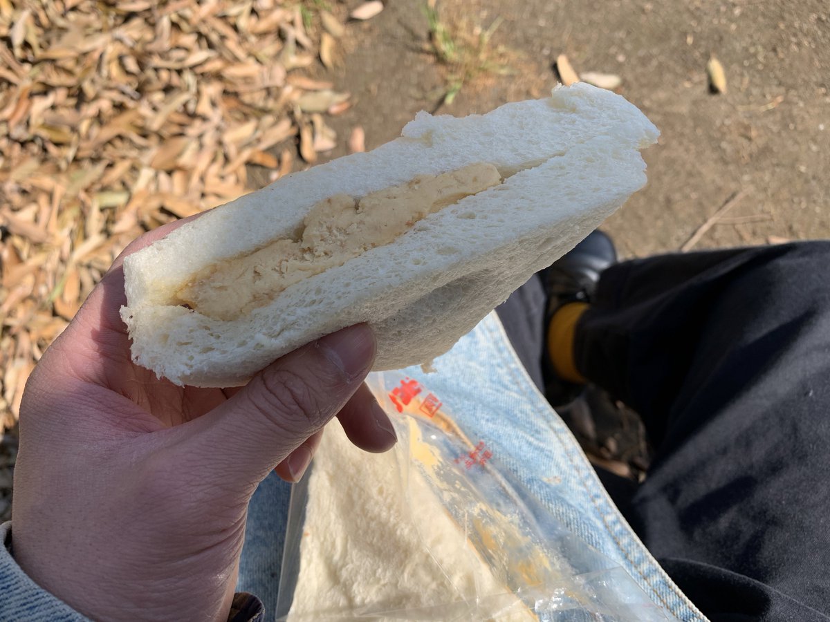 あまりにもグッドなモーニングすぎる https://t.co/GCJcZ3RwcC