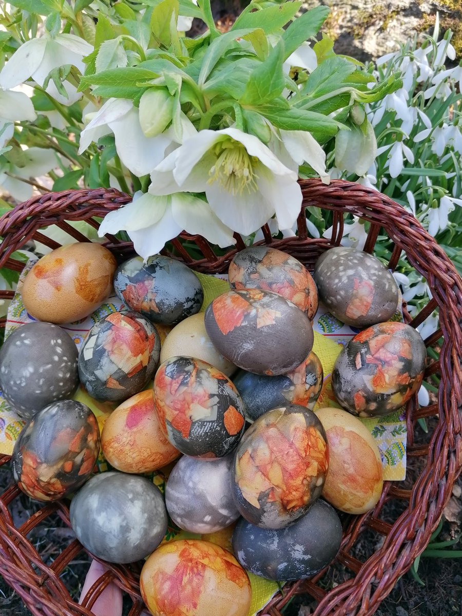 uzavasbib's tweet image. Lai krāsaini, saulaini un priecīgi! 💛🥚🐤
#Lieldienas #svētkusajūta #prieks #uzavasbiblioteka