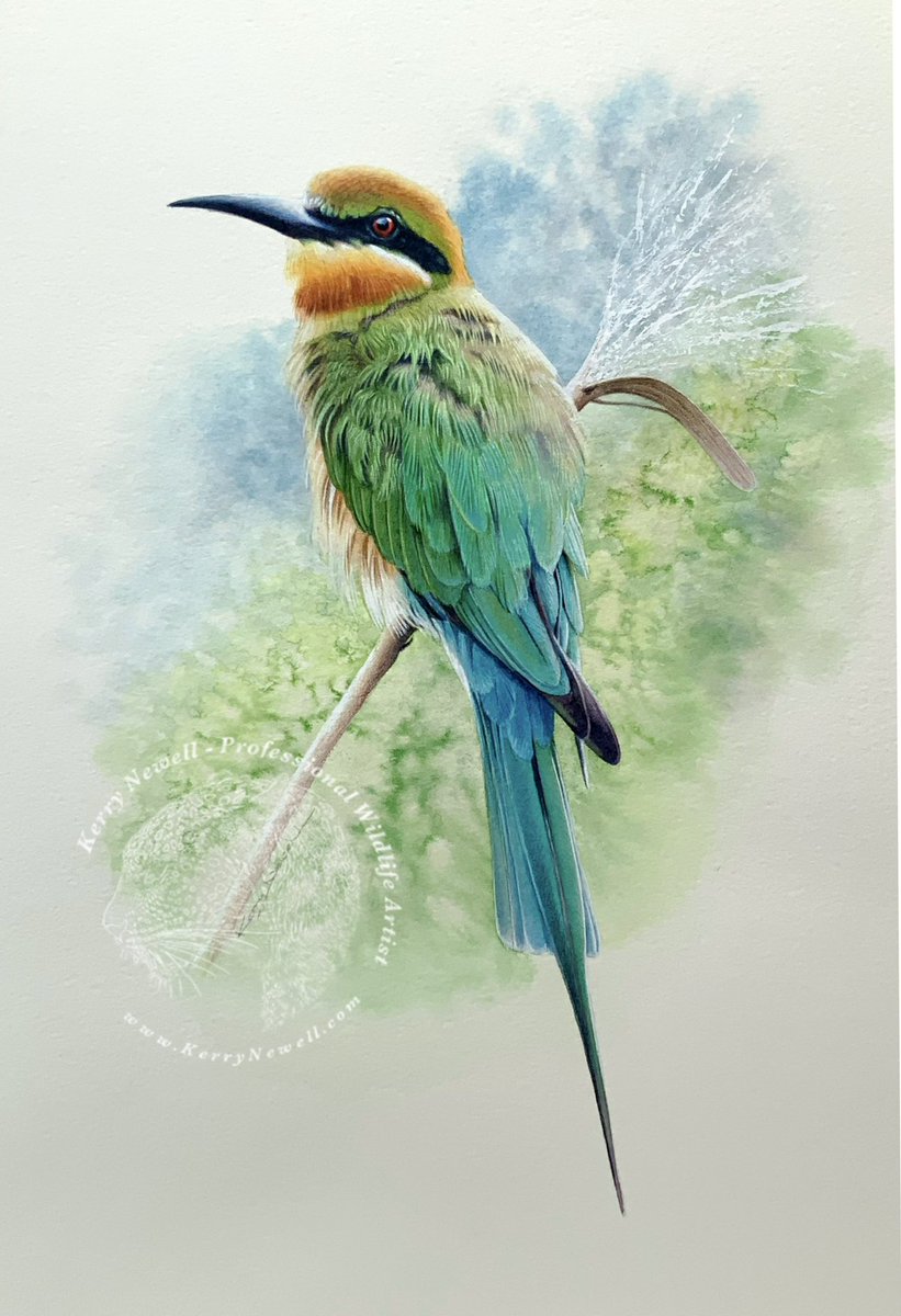 <a href="/sykesjeff/">Jeff’s Wildlife Photography</a> 🎨 One of my recently completed paintings xXx