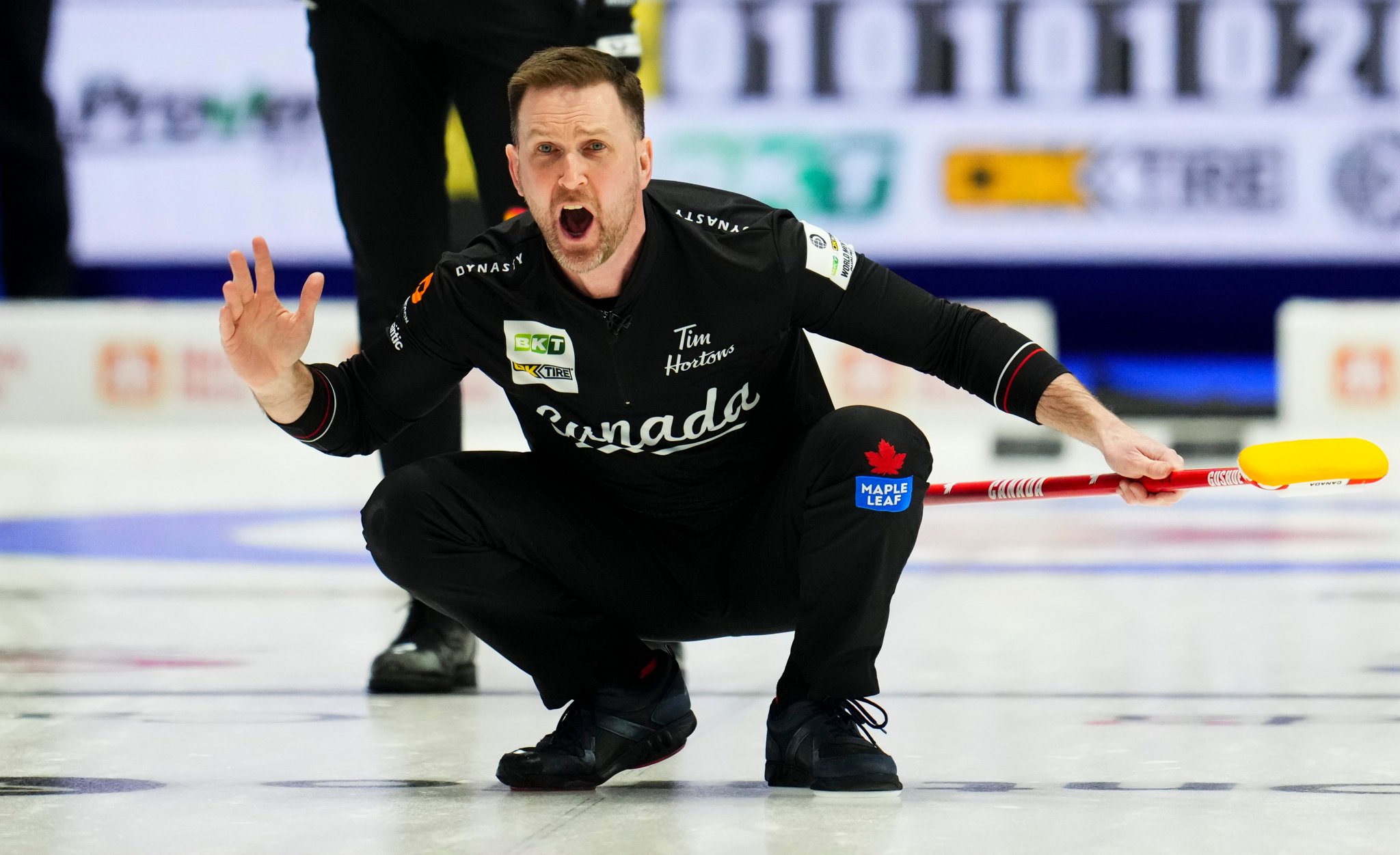 watch curling brier live