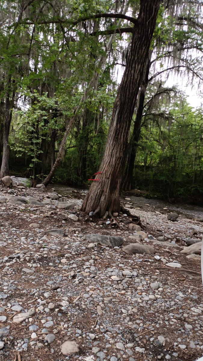 Se antoja 😈 <a href="/RegiolandiaMTY/">العقص</a>