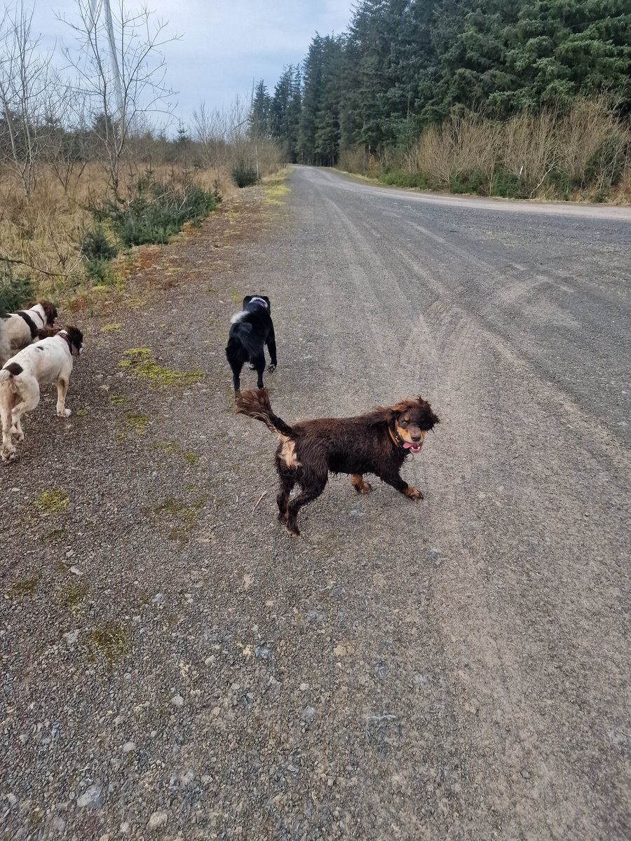 Debzwarnock's tweet photo. Happy Easter whiteleesss windfarm with the 4  furries  and friends then out for a wee bit of Sunday funday with the Girls xx https://t.co/bFi72dQP7E