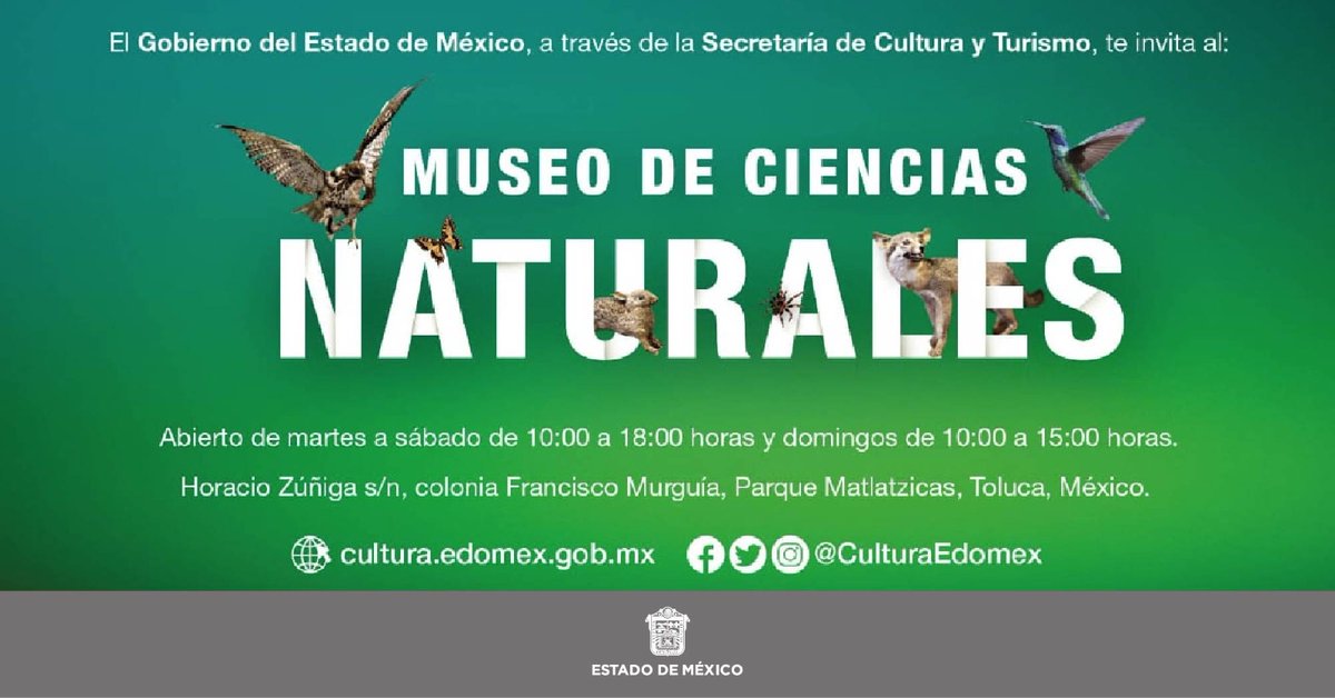 El Museo de #CienciasNaturalesEdomex reabre sus puertas, ven y conoce los universos de rocas y minerales, fósiles, esqueletos, bichos, aves y mamíferos. Te esperamos de martes a sábado de 10:00 a 18:00 horas y domingos de 10:00 a 15:00 horas en Parque Matlazincas de #Toluca.