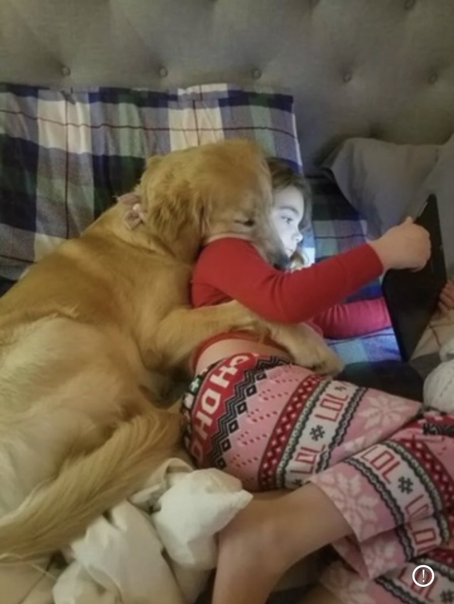 💖 (@twaniimals) on Twitter photo 