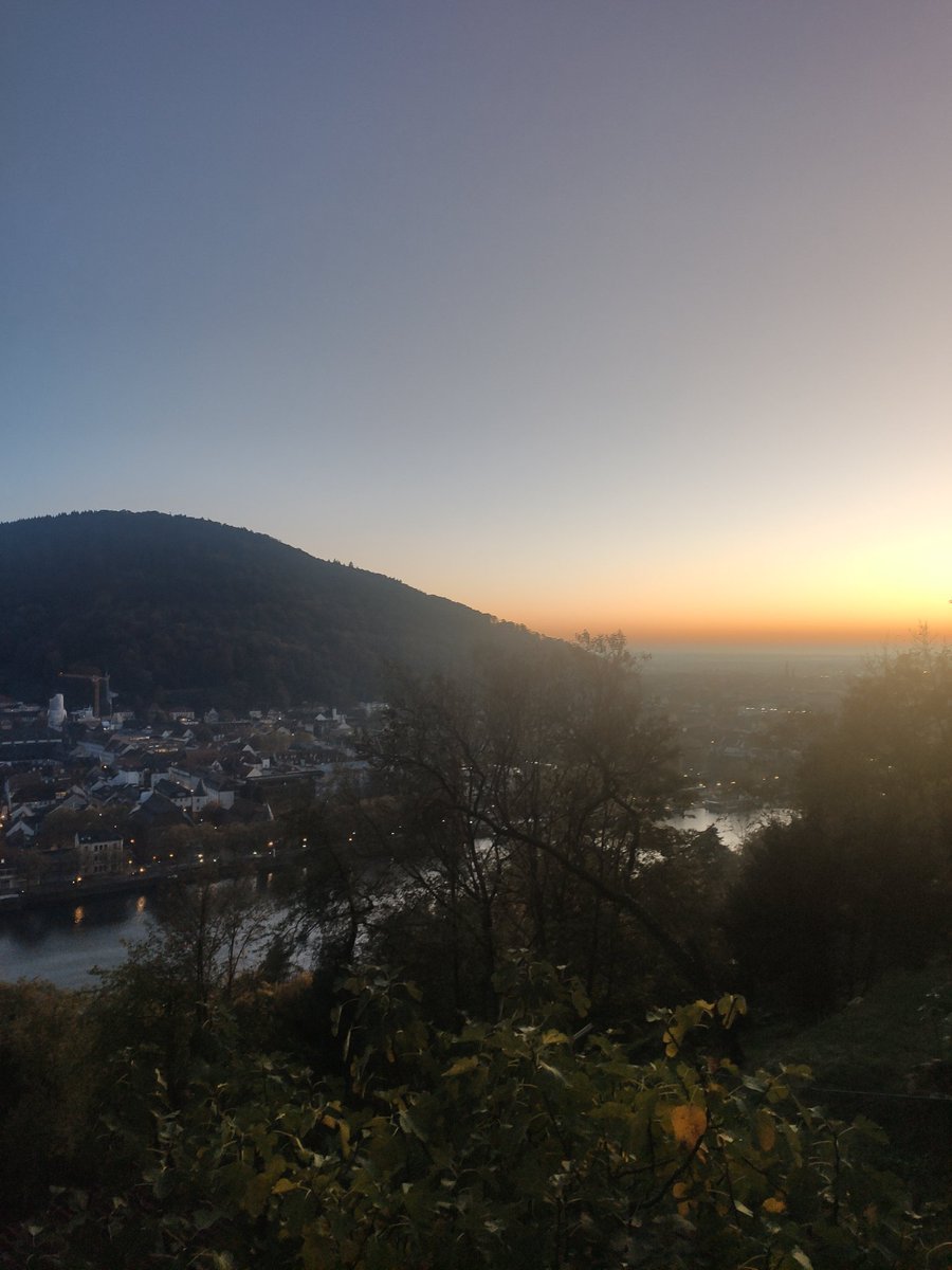After amazing years in Vienna, this week was my first in Heidelberg, working with @felixjhartmann and @saezlab supported by @AIHCluster – exciting start and looking forward to an exciting journey mixing AI, immunology, metabolism and multiplexed imaging 🔬🤩