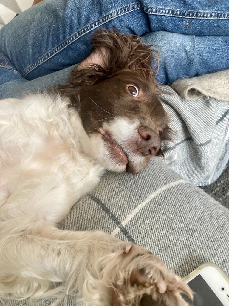 Rob Whittle tweet media