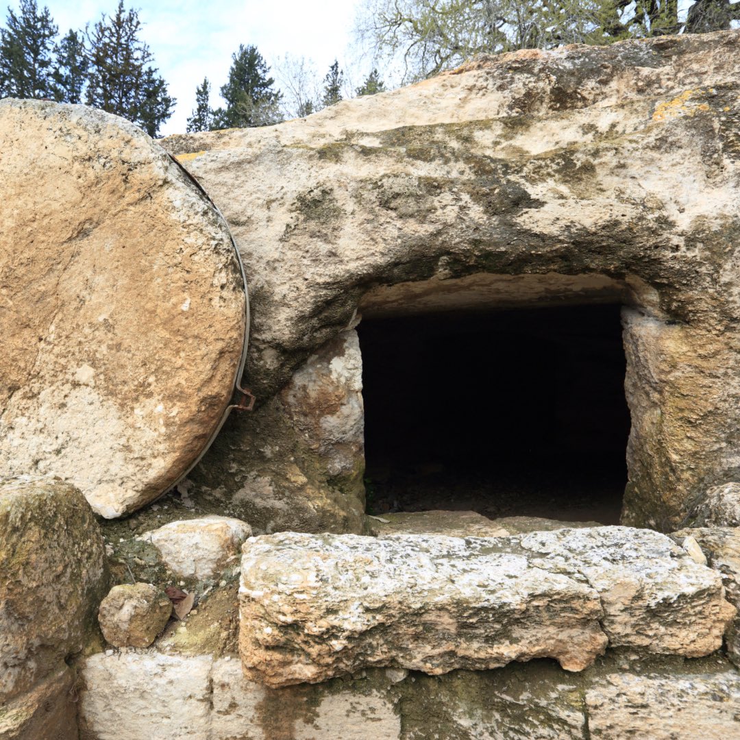 EasterNow tweet media