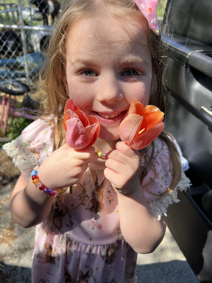 redbeard26kids's tweet photo. #FlowerKiller at it again https://t.co/SbHprmMuii
