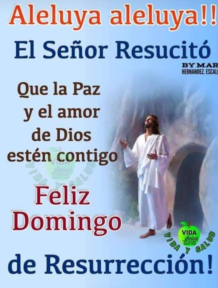 Tu vida es hoy vívela sin temores. Feliz domingo 

 #DomingoDeReencuentro

<a href="/Arianta50522473/">Arianta</a> <a href="/Akeno_jk/">Jhoany Velázquez 💖</a> <a href="/marimar679891/">marimar💗twitera de la patria💗</a> <a href="/Valeria_GR76/">🌹 Valeria 🌹</a> <a href="/estr3mao1411/">🇻🇪☕Vicente Flores☕🇻🇪</a> <a href="/luis16684716/">tuitero de Aragua</a> <a href="/YanireRuiz2367/">Yanire</a> <a href="/Yanir3P/">Yanir3 Pim3nt3l</a> <a href="/ARIANTA020/">Arianta</a>