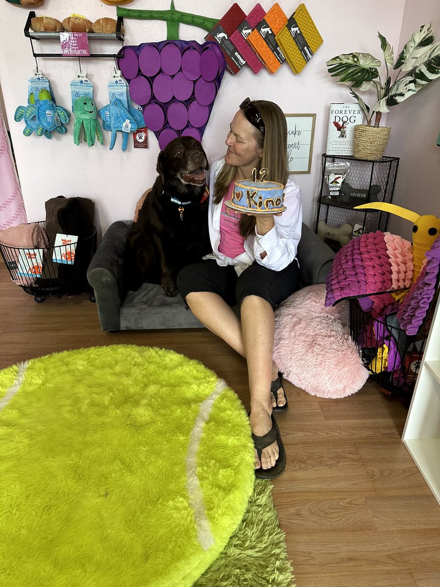 Happy 12th Birthday to our sweet chocolate boy, Kimo! We had Lava Paws doggie deli in Hilo make a raw venison cake for him!