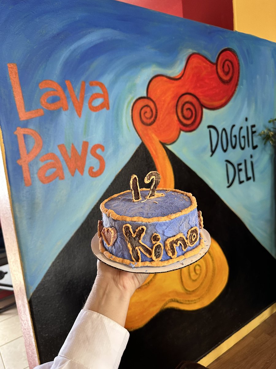 LavaDogsHawaii's tweet photo. Happy 12th Birthday to our sweet chocolate boy, Kimo! We had Lava Paws doggie deli in Hilo make a raw venison cake for him! https://t.co/HX0s4glx5l