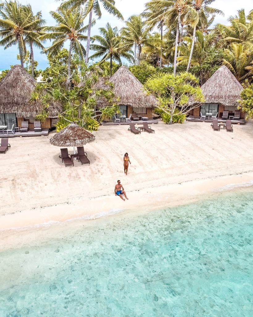 Pacific Beachcomber tweet media