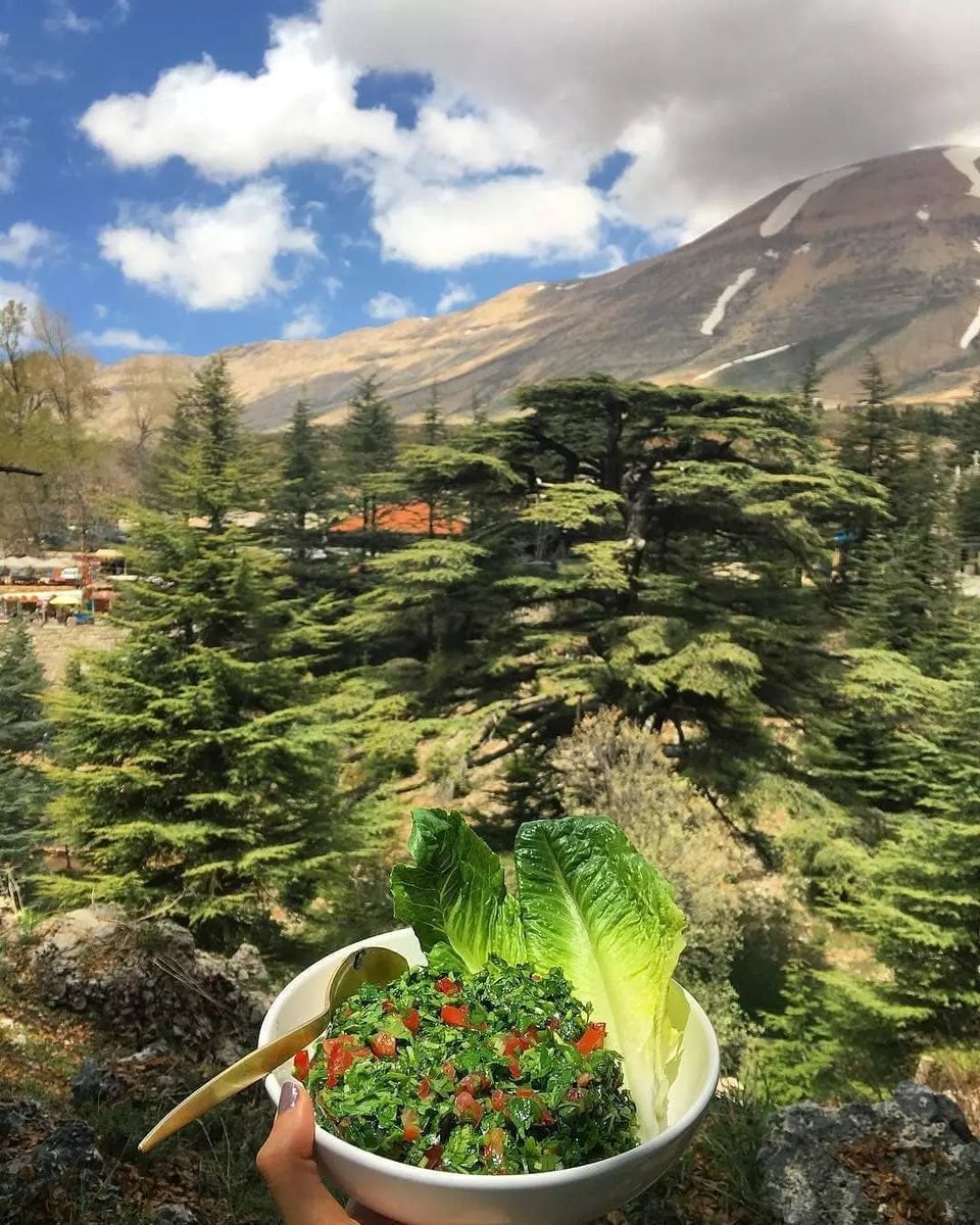 thankyoulebano's tweet photo. Whenever someone asks you what are the greatest things about Lebanon, the first two things that come to mind are the cedars and Tabbouleh .
We think this makes this photo the most Lebanese picture taken 💚👌
⬇
#cedarsofgod #lebanon
IG @ manal.massoud https://t.co/j1ng1pXR0H