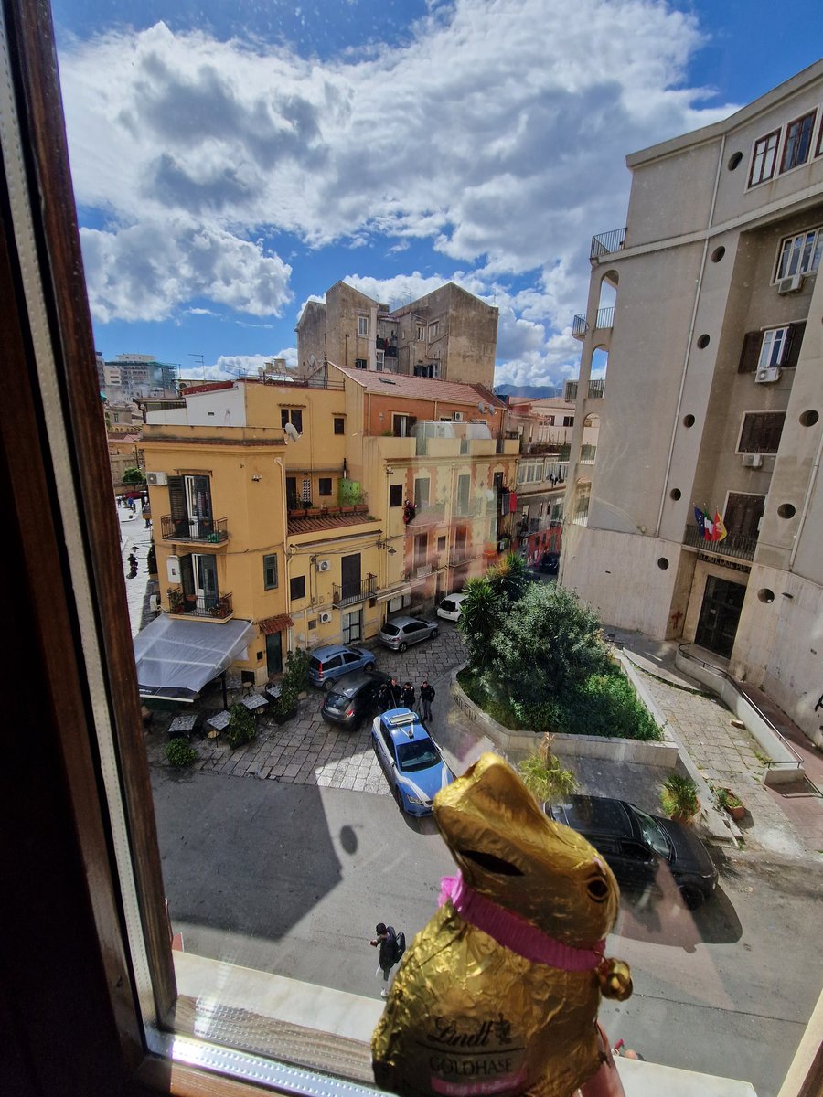 doris_mat81's tweet photo. Buona Pasqua del paradiso / Frohe Ostern 🐰 #Palermo #Trapani #Guarrato #slowfood  @agrivultaggio https://t.co/o6QpgmHA03