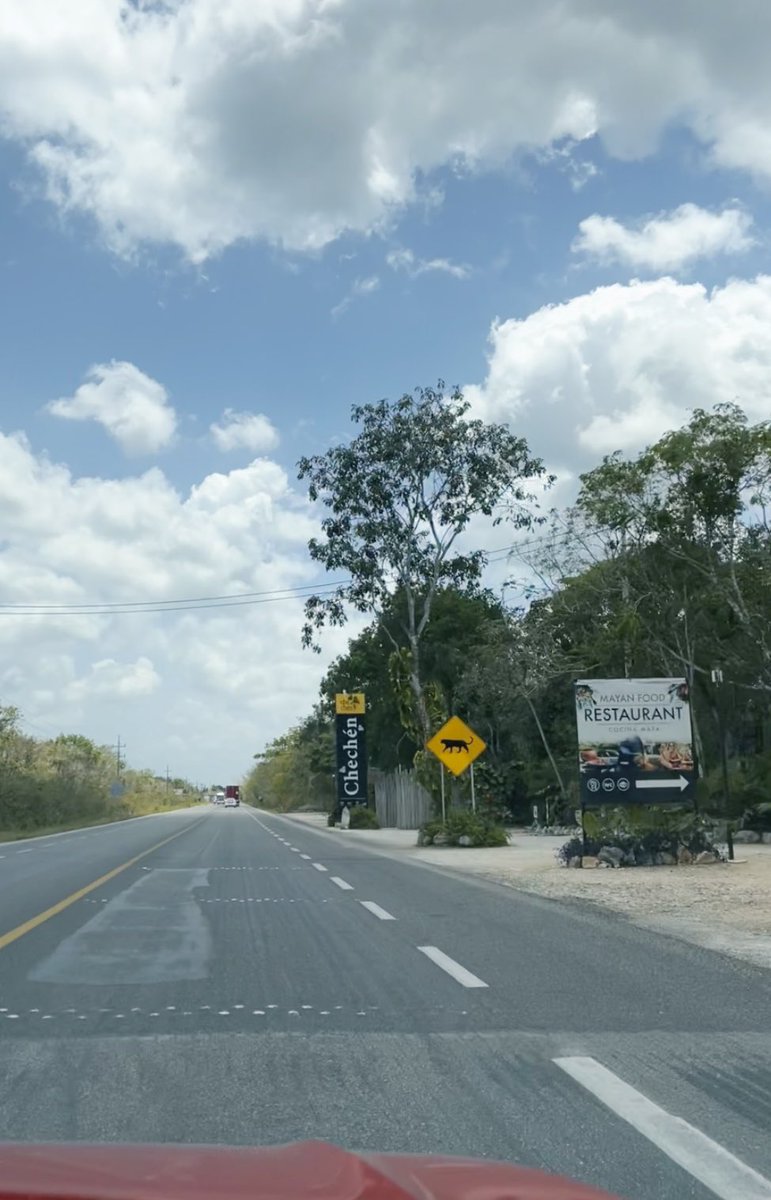 “Accadde oggi” 🐆