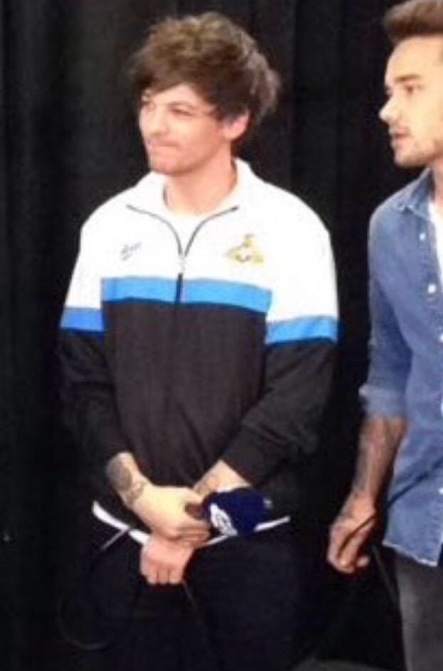 louis hedgehog (@lhdgehog) on Twitter photo 