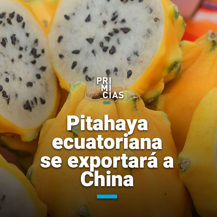 El 10 de abril saldrá el primer envío de pitahaya a #China, desde el Aeropuerto Mariscal Sucre. La carga será de 7.745 kilogramos de la fruta. prim.ec/fKpe50NEI4X