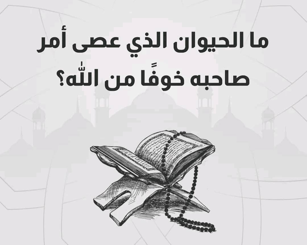 هل تعرف الإجابة على هذا السؤال ؟