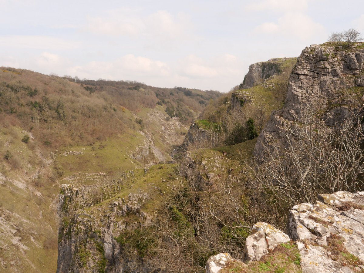 Rob Larter tweet media