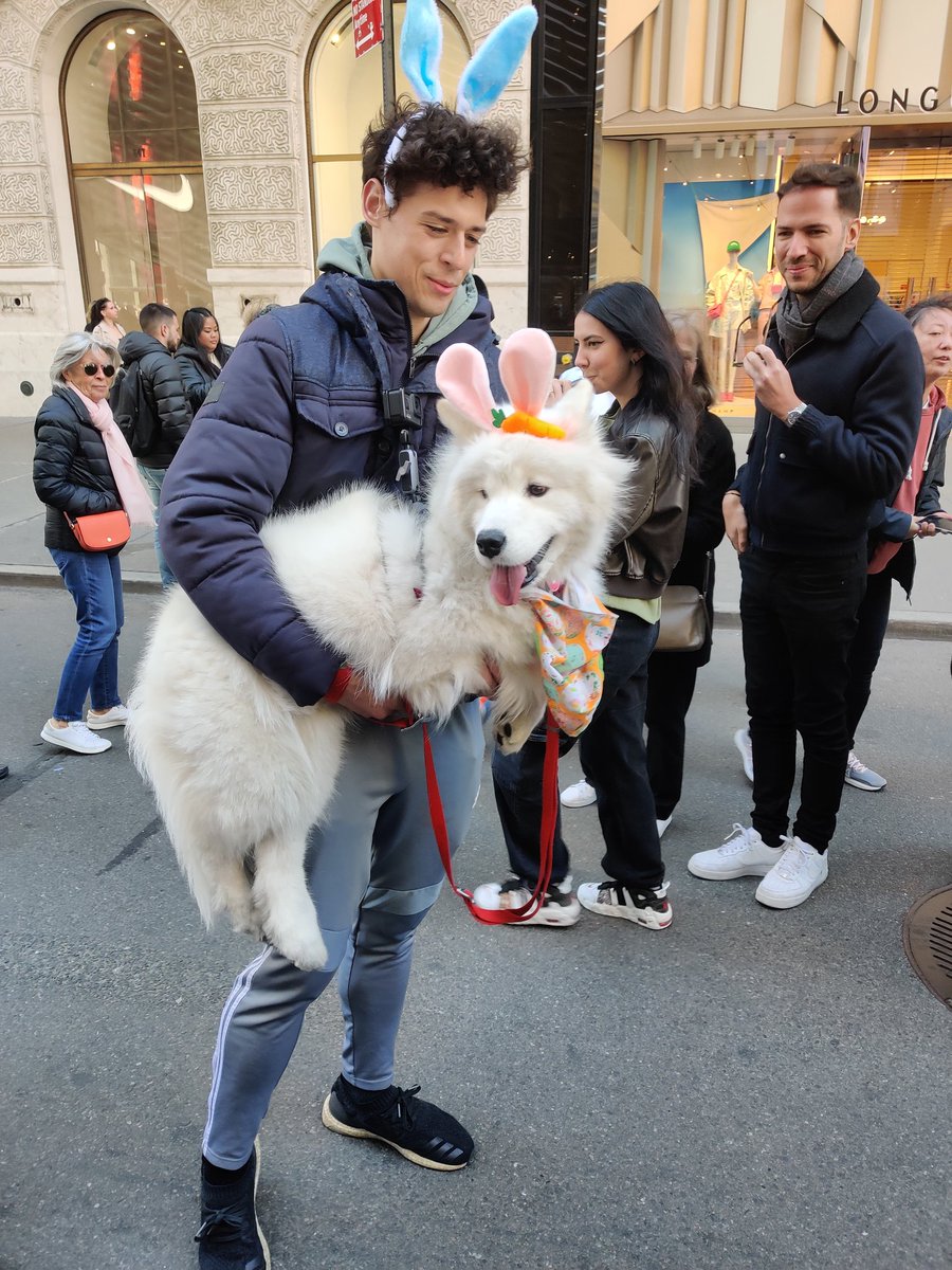 LizziePea86's tweet photo. @dog_rates I found this Easter bunny in NYC but someone is claiming it's a doggo? https://t.co/gWxJOdGAUC