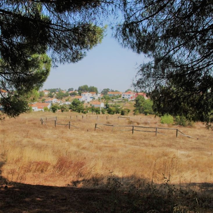 urbamarkt's tweet photo. 🌞Campaña #MediterraneanDream
Casa de Campo en Vale da Pedra, Cartaxo, Portugal 
47160m² + 🌱🌻🐎 
https://t.co/dWvroMAD6n 
#realestate #bienesraíces #property #encanto #remodelar #oportunidad #expatdream #establos https://t.co/u0ACqxmDza