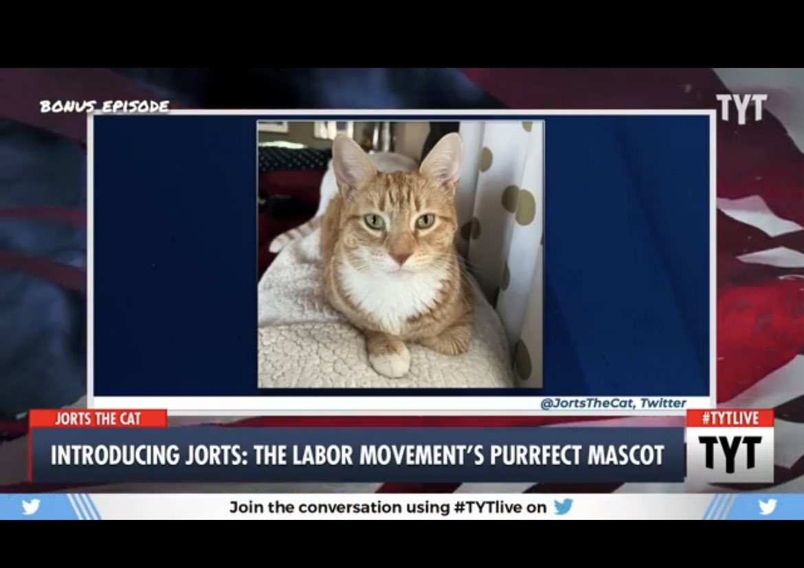 Jorts (and Jean) tweet media