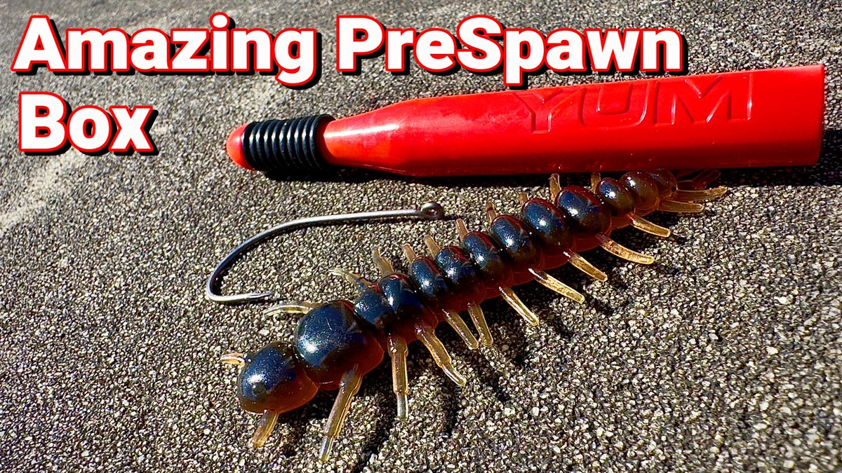 BassGeekFishing's tweet photo. What an amazing little prespawn to spawn kit
https://t.co/oKM3DmkC1Z
#bassfishing #fishing #wackyrig #LURENET https://t.co/QrfTIzqDEm #bassfishingtips #prespawn #postspawn #bassgeek #fishinglife #yum https://t.co/iV86fXFQoC