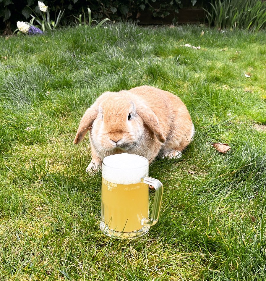 Granite Brewery tweet media