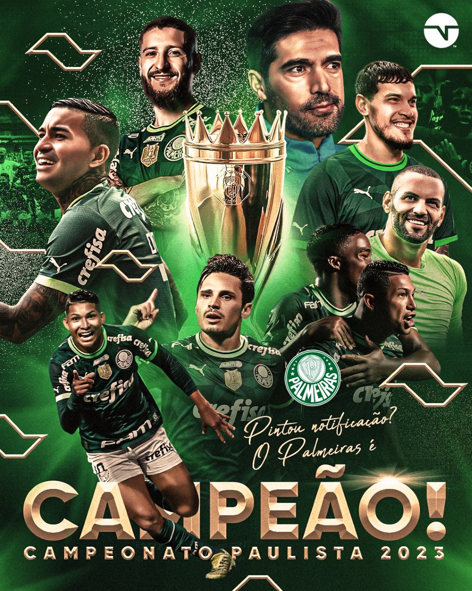 🚨🚨 ATENÇÃO 🚨🚨 ISSO NÃO É UM POST REPETIDO! É SÓ O PALMEIRAS DE ABEL FERREIRA SENDO CAMPEÃO MAIS UMA VEZ! 🏆🐷🟢⚪
