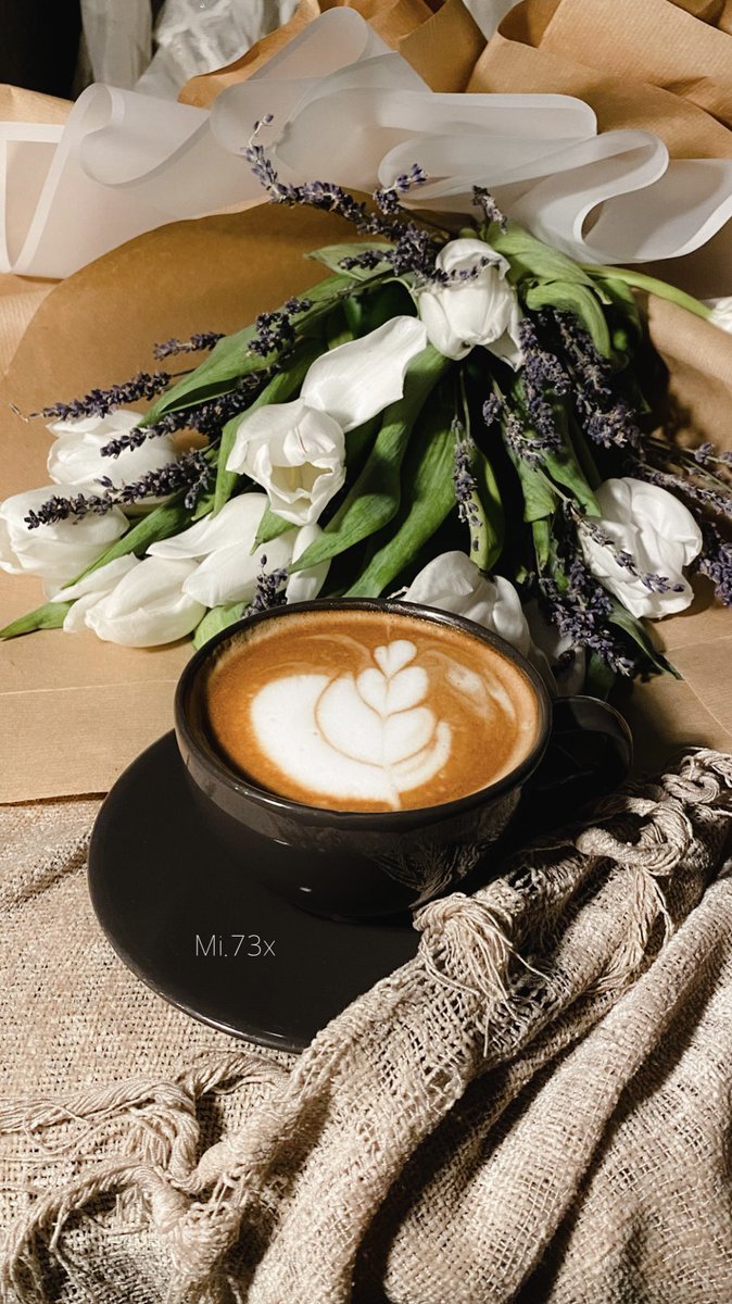 𝙼𝚒𝚉𝙰🤍📸".. tweet media