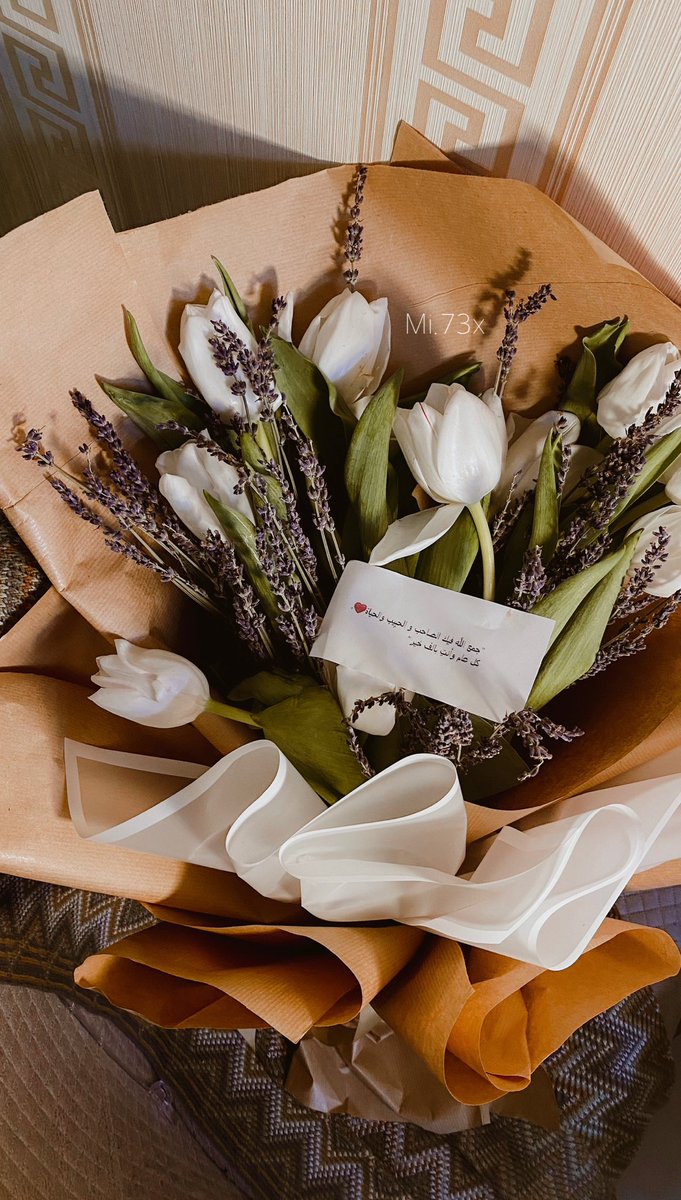 𝙼𝚒𝚉𝙰🤍📸".. tweet media