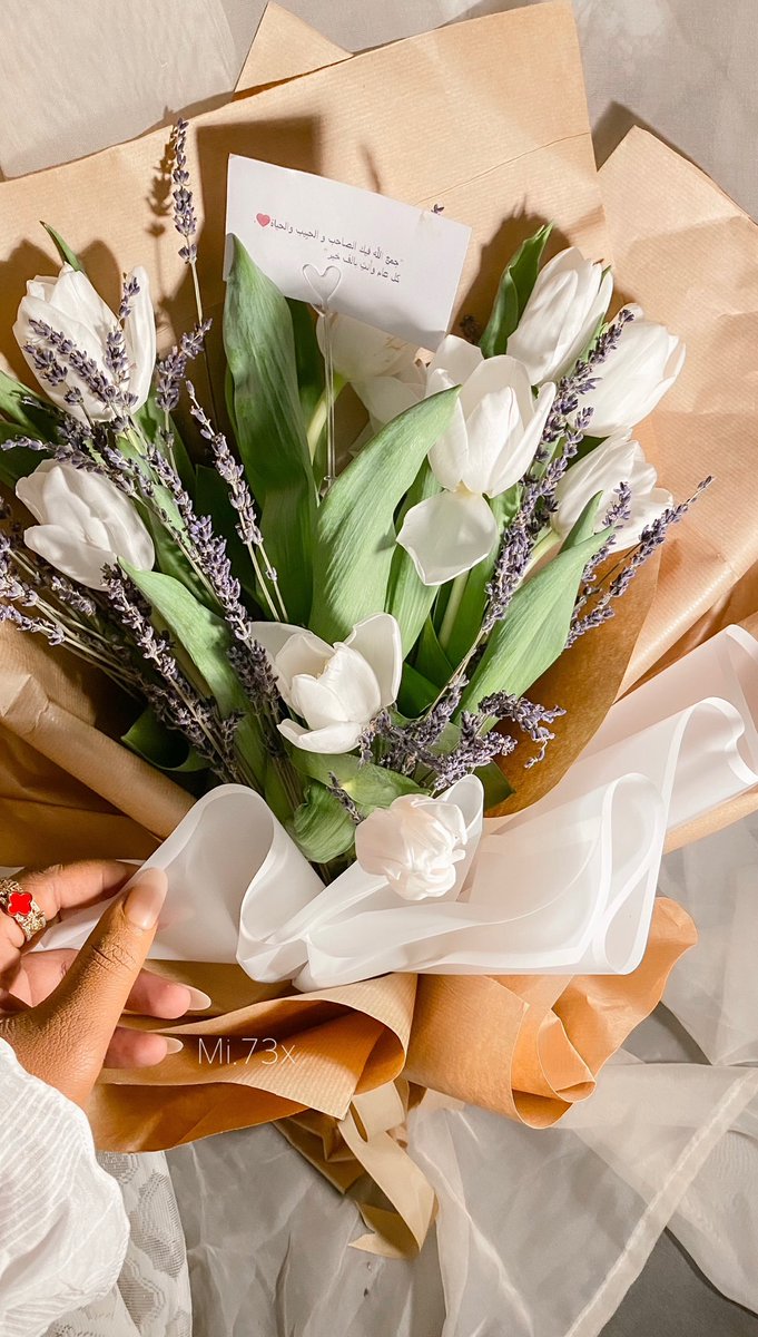 𝙼𝚒𝚉𝙰🤍📸".. tweet media