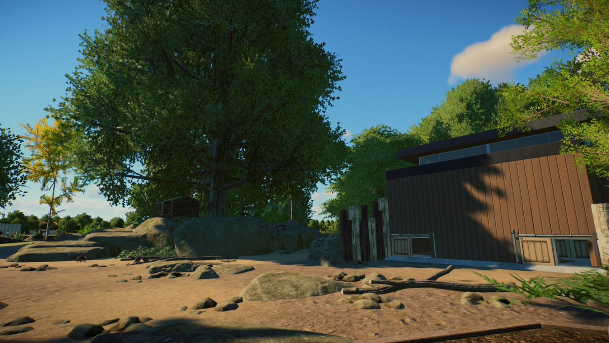 jensagameplayer's tweet photo. Raccoon // Securty Camera // Planet Zoo // Jensachten // #25
.
https://t.co/8aBqnPMlah
.
#planetzoo #planetzoogame #dlc #raccoon #dieren #wasbeer https://t.co/UIwn0Jt4v6