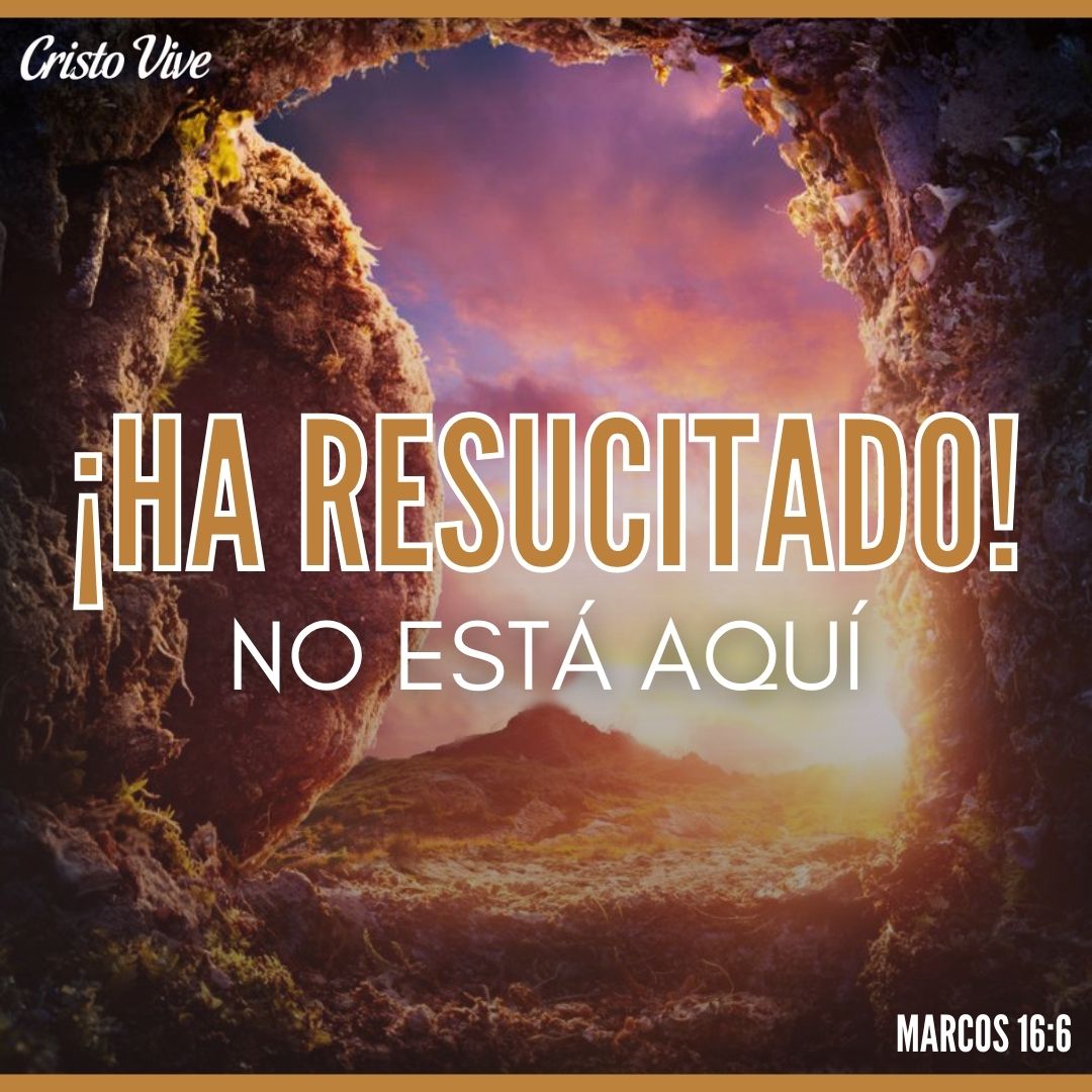 CRISTOVIVEMEX's tweet photo. 🪨¡Ha Resucitado!👐👏 https://t.co/IQvSPljRoY