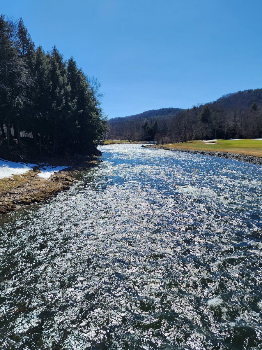 TimBoyle_RMS's tweet image. Images of spring...love it.