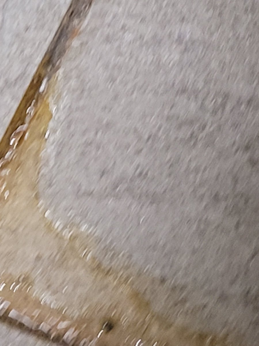 Jlong752's tweet photo. @GoodSamMedCtr @Steward 
While the Staff today was great, they are way overworked and short staffed .
20 patients in hallway. Why wear a mask if this is how things are left? Basic cleaning to  no paper towels and plumbing puddles in https://t.co/4RGz1MNUKN