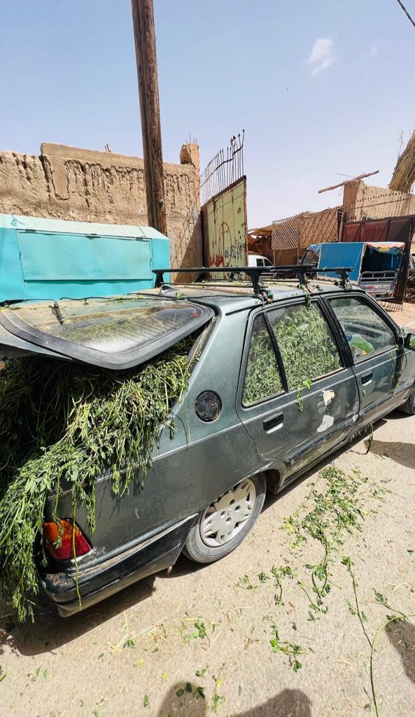 Avui, dia de resurrecció de Déu nostre senyor, arriba amb la quantitat equitativa de ganja per els seus apòstols! Amen.
Fumeu germans del canut que porto sobra, repartiu-lo com bons germans, y quien lo mate que se haga otro!