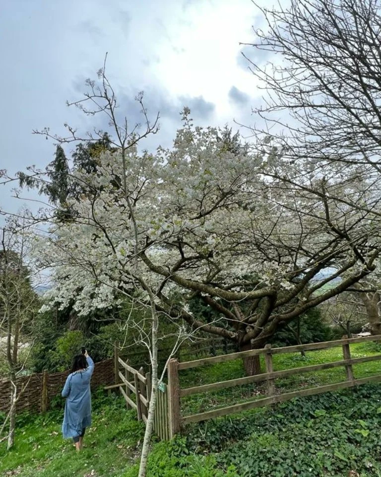 SkrzelaZych's tweet photo. Spring Bloom ๐ท Beautiful Easter Decoration ๐ Happy Easter Everyone #Easter #EasterSunday #EasterSunday2023 #EasterBlessing #EasterDay #springtime #bloom #Flowers #NaturePhotography #NatureBeauty #Nature #SOMERSET #Glastonbury #reflection #Traditions #Mindfulness https://t.co/klwqBurpAr