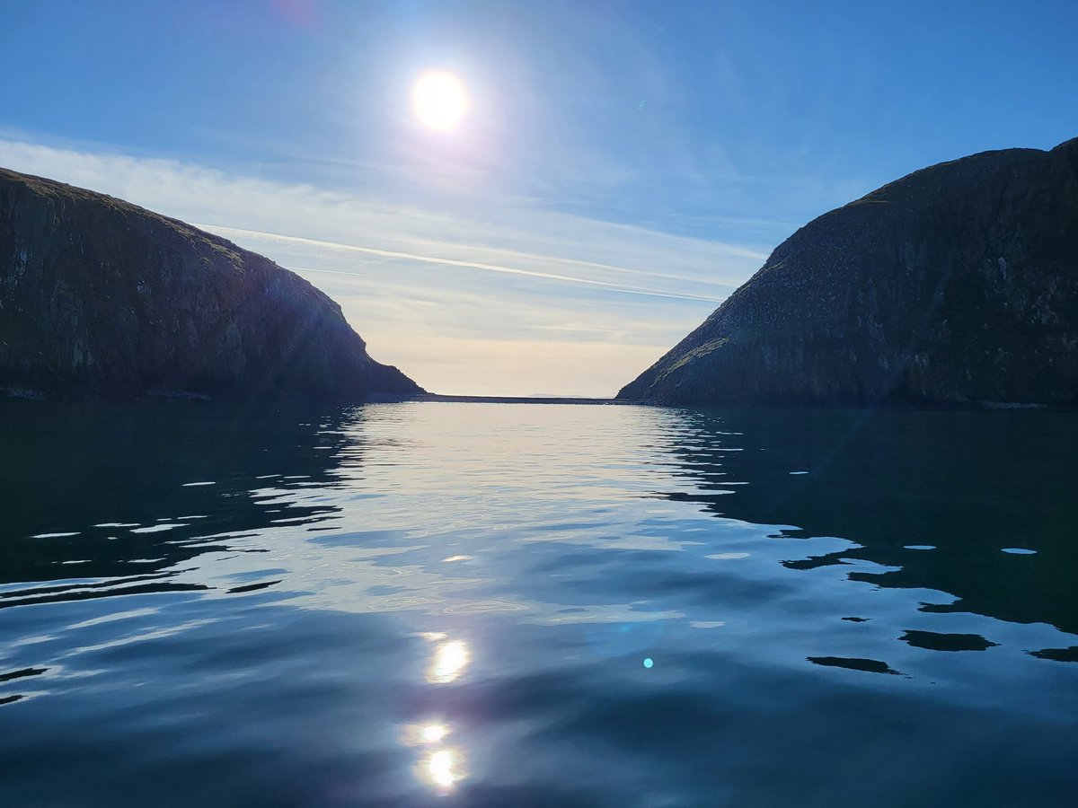 Gillian Morrison tweet media