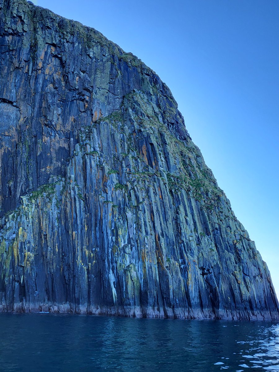 Gillian Morrison tweet media